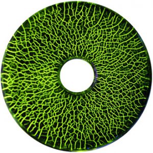 MTU-3